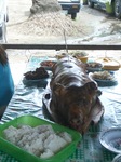 05060511.CIMG0028.JPG